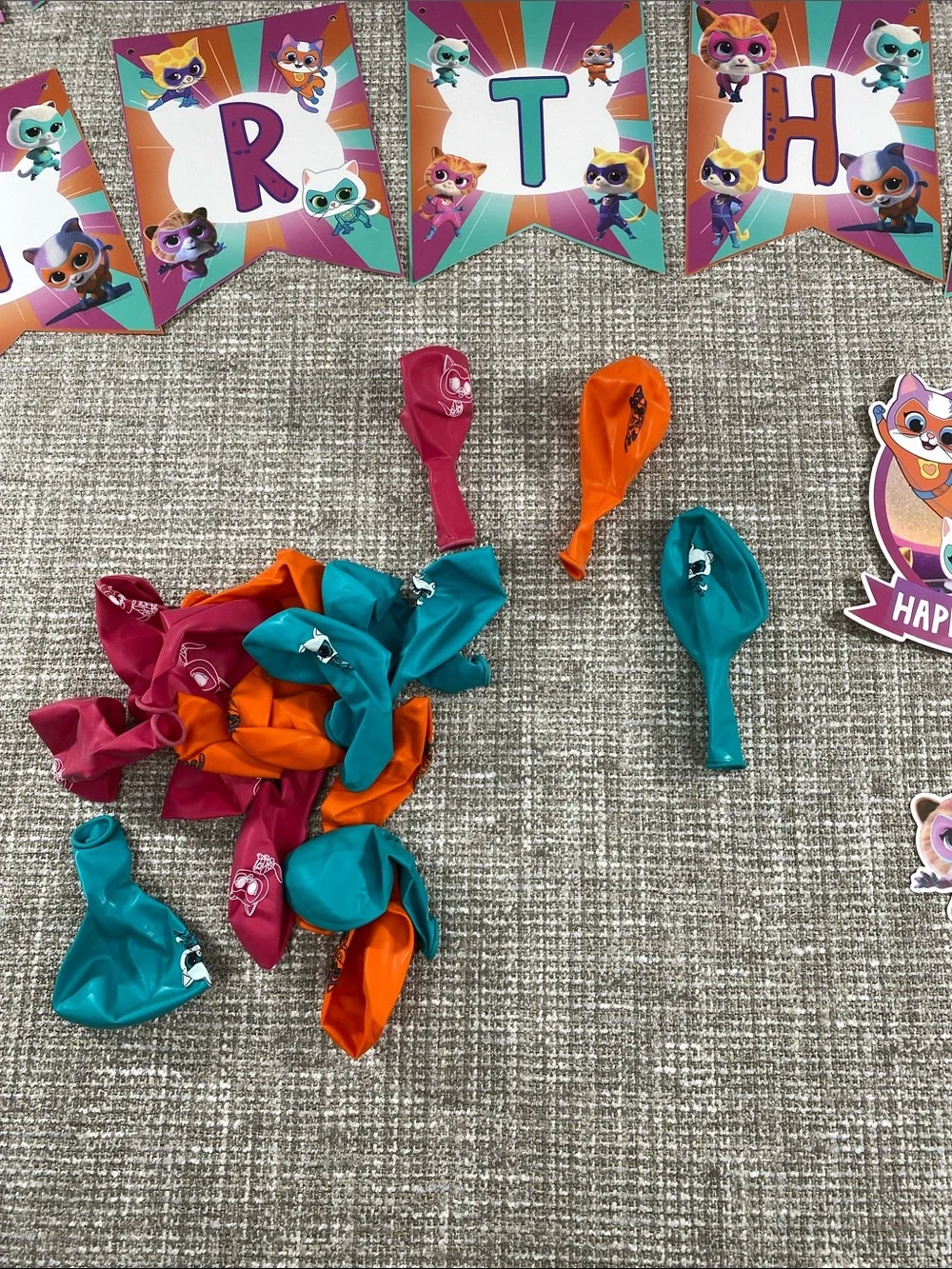 Kids Pink Teal Orange Happy Birthday Party Banner and Decorations cats kittens